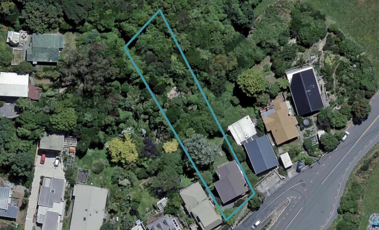 8 Balfour Street, Mornington, Wellington - Carousel 1