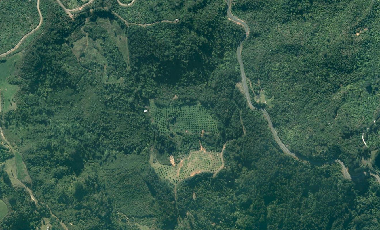 151 State Highway 25, PUMPKIN HILL, WHITIANGA - Carousel 1