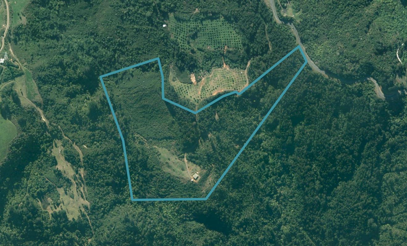 151 State Highway 25, PUMPKIN HILL, WHITIANGA - Carousel 1