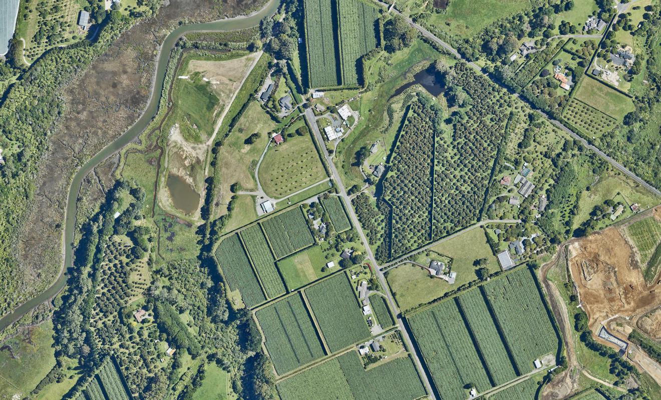 133 Prole Road, Omokoroa, Tauranga - Carousel 1