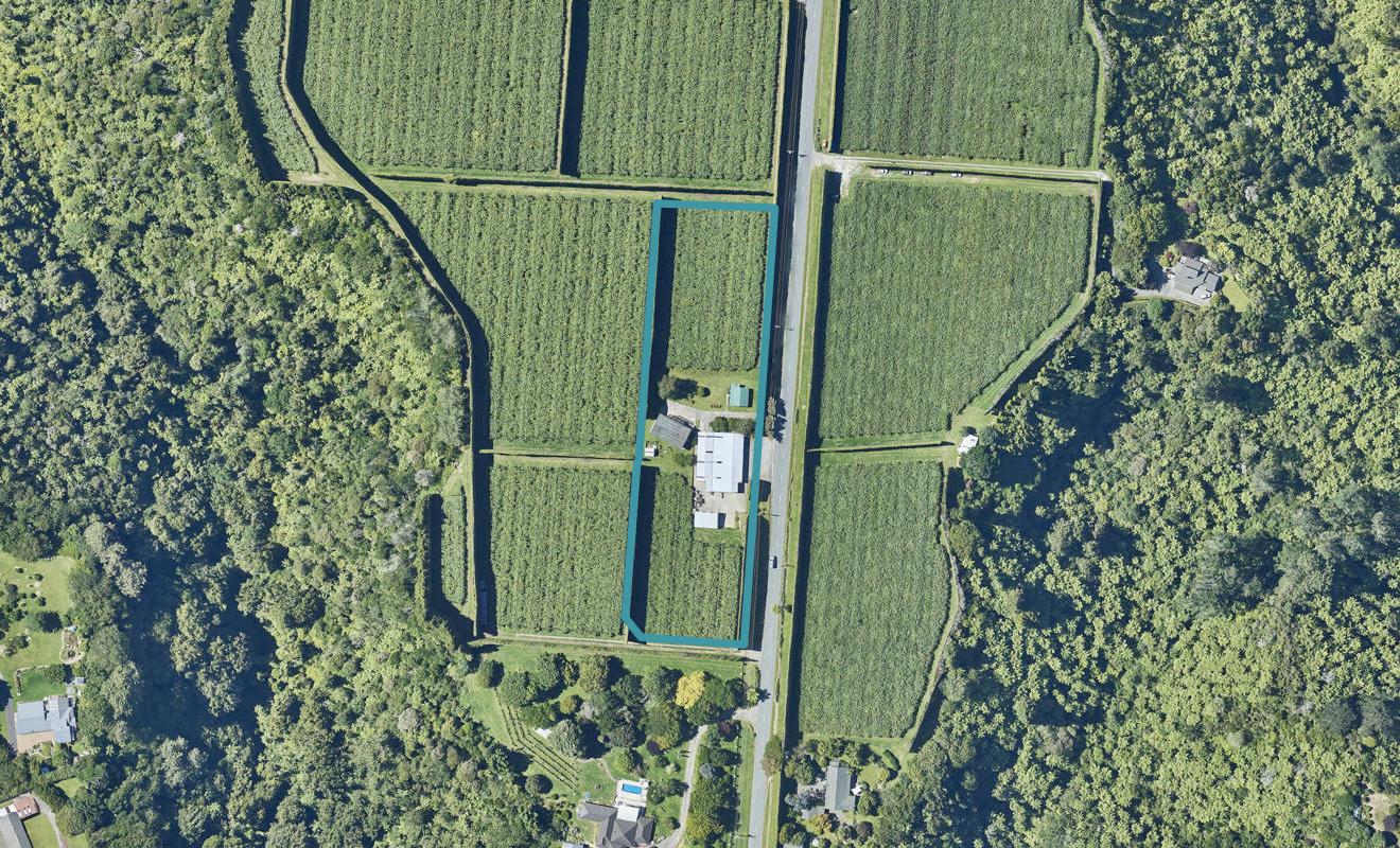 456 Joyce Road, Pyes Pa, Tauranga - Carousel 1