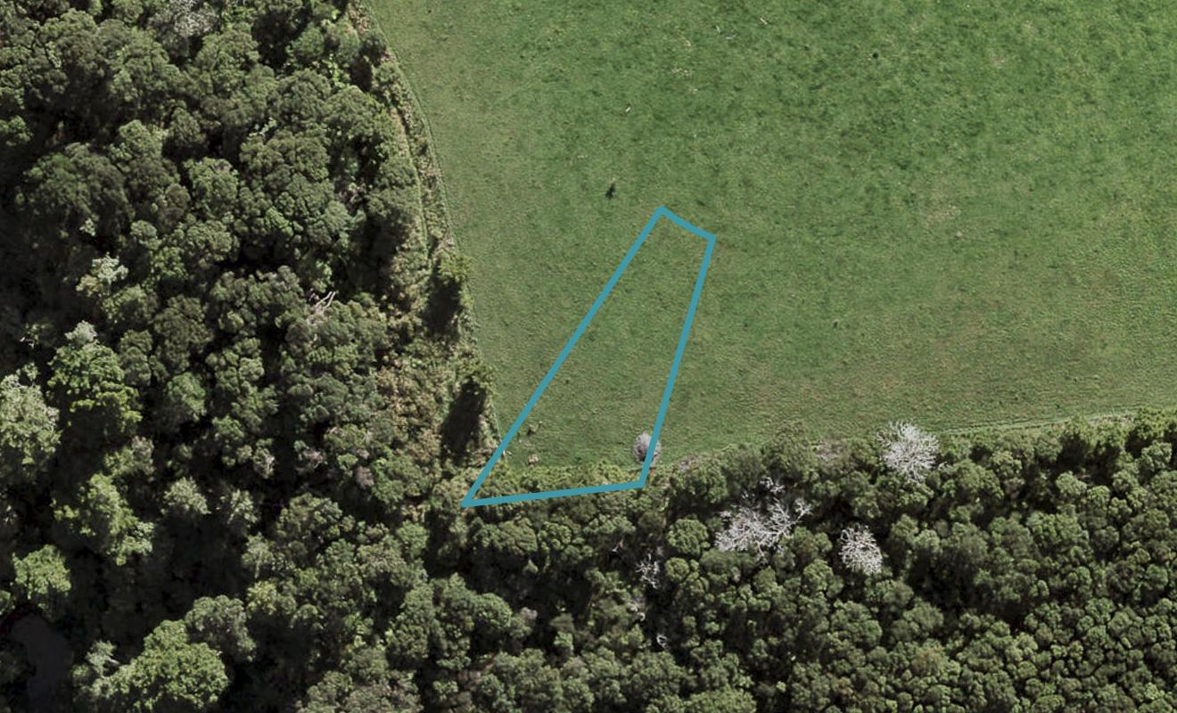 18 Te Aniwaniwa Terrace, Albany, Auckland - Carousel 1