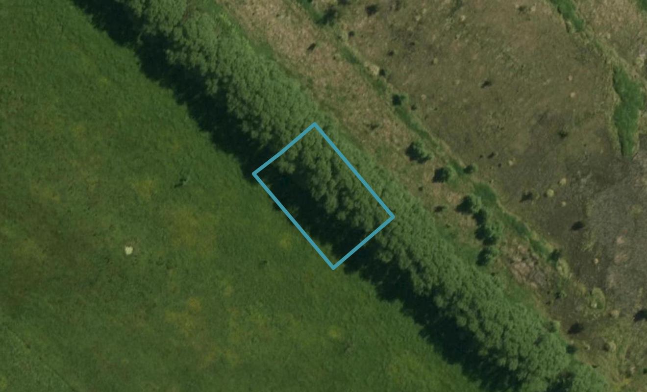 56 Maturiki Drive, ONE TREE POINT, RUAKAKA - Carousel 1