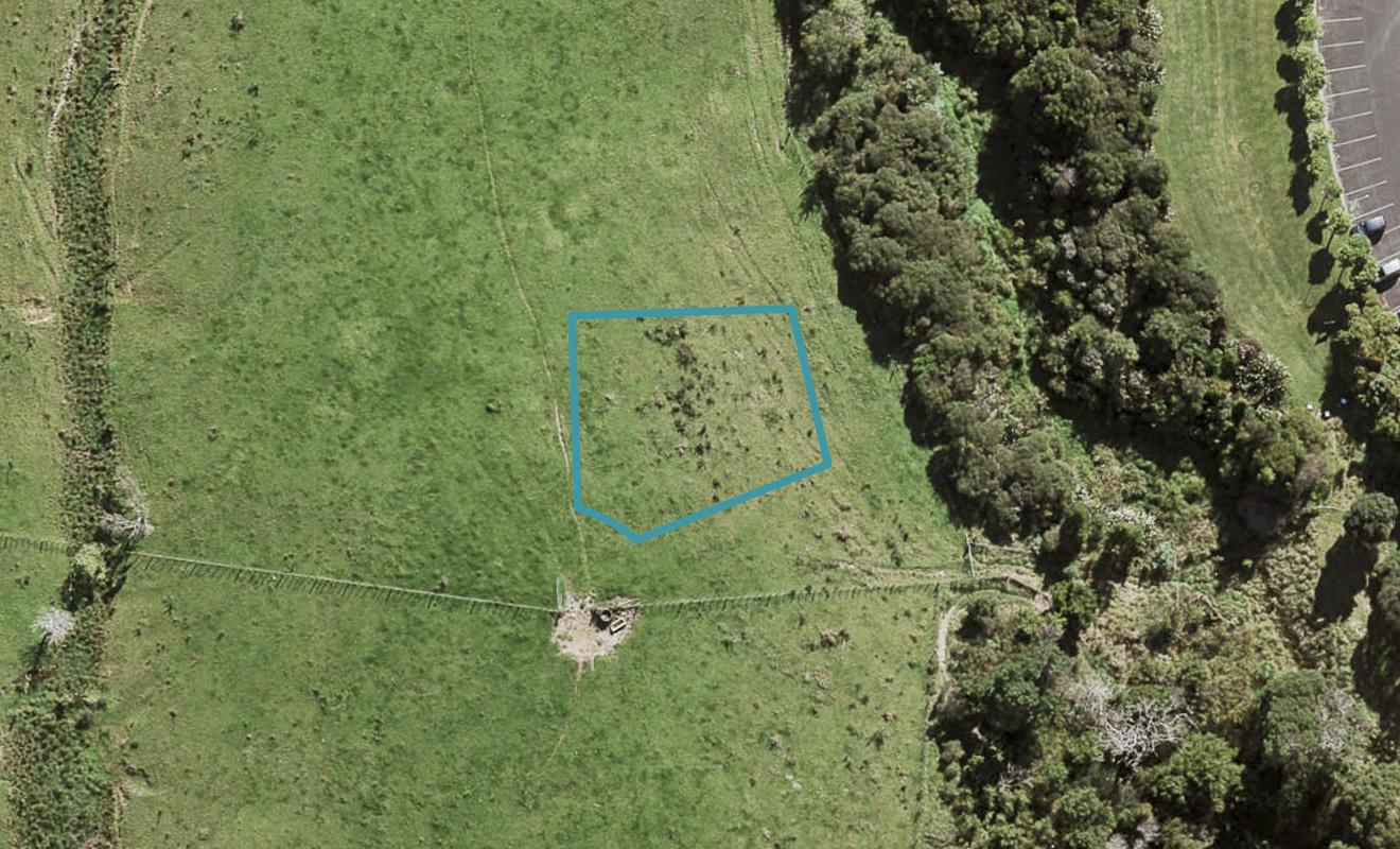 98 Te Aniwaniwa Terrace, Albany, Auckland - Carousel 1