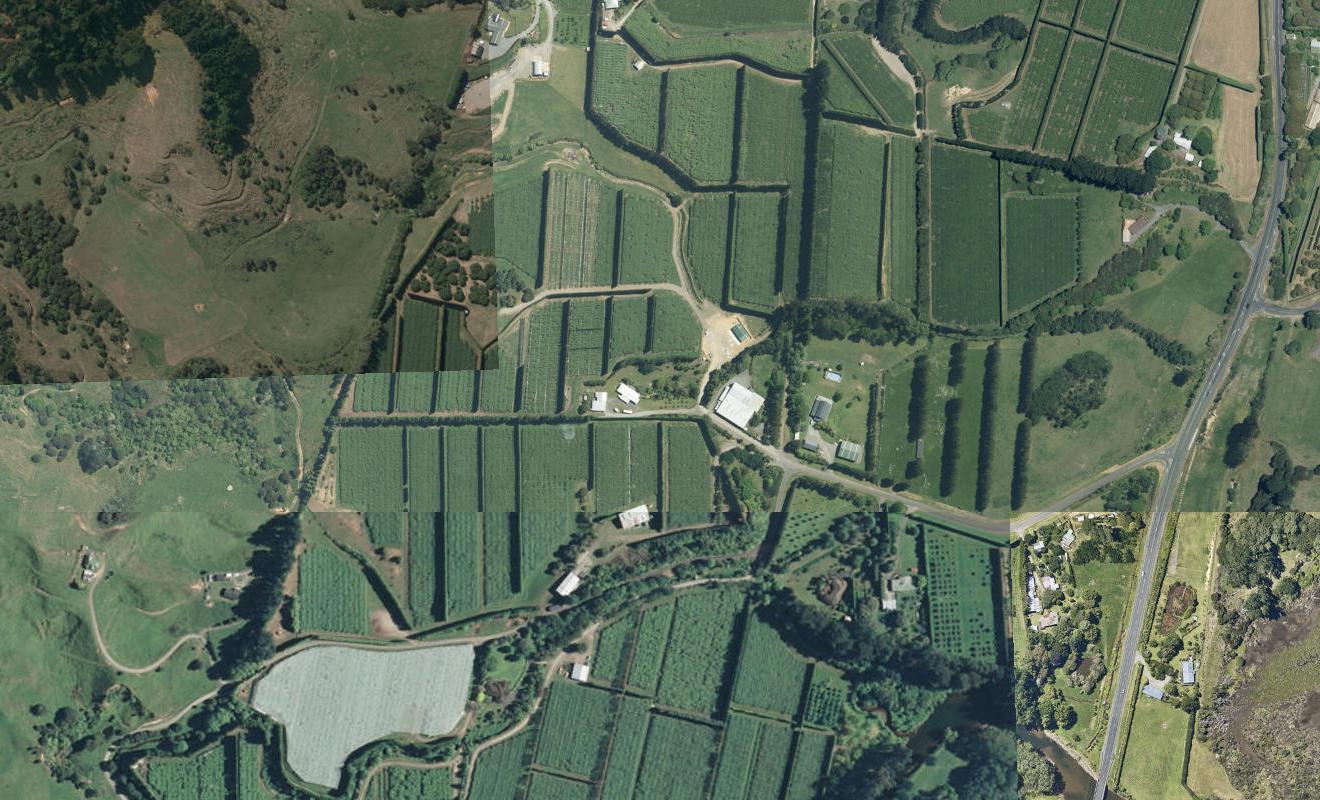 40 Canon Road, Tanners Point, Katikati - Carousel 1