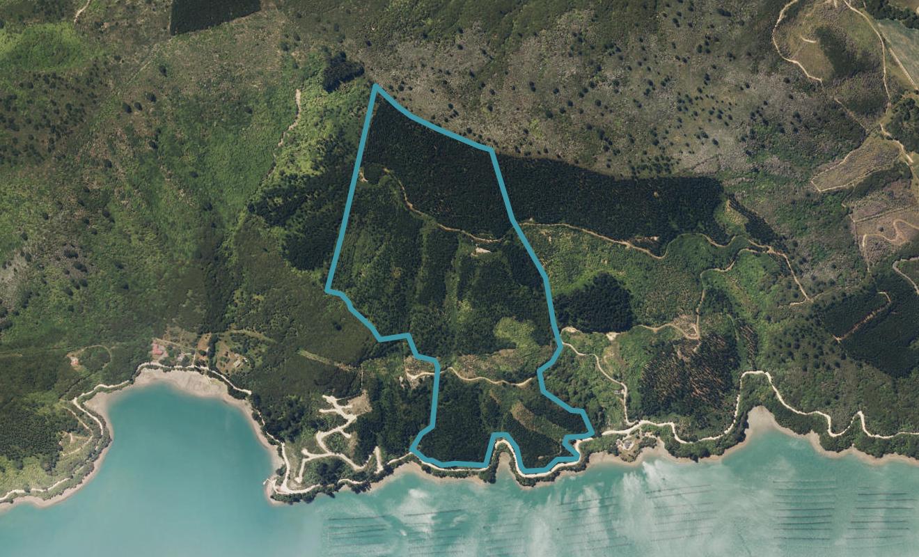 4954 Kenepuru Road, Ōhauparuparu Bay, Marlborough Sounds - Carousel 1