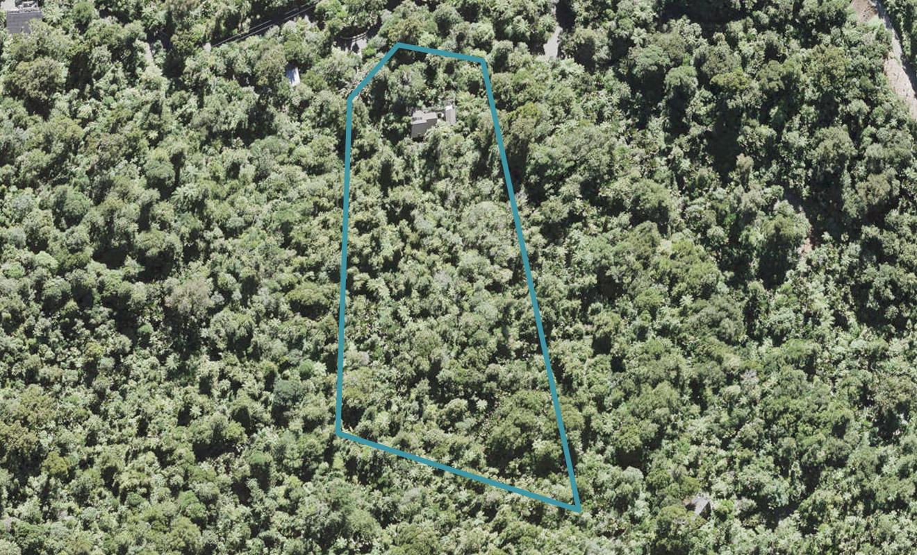 172 Opanuku Road, Henderson Valley, Auckland - Carousel 1