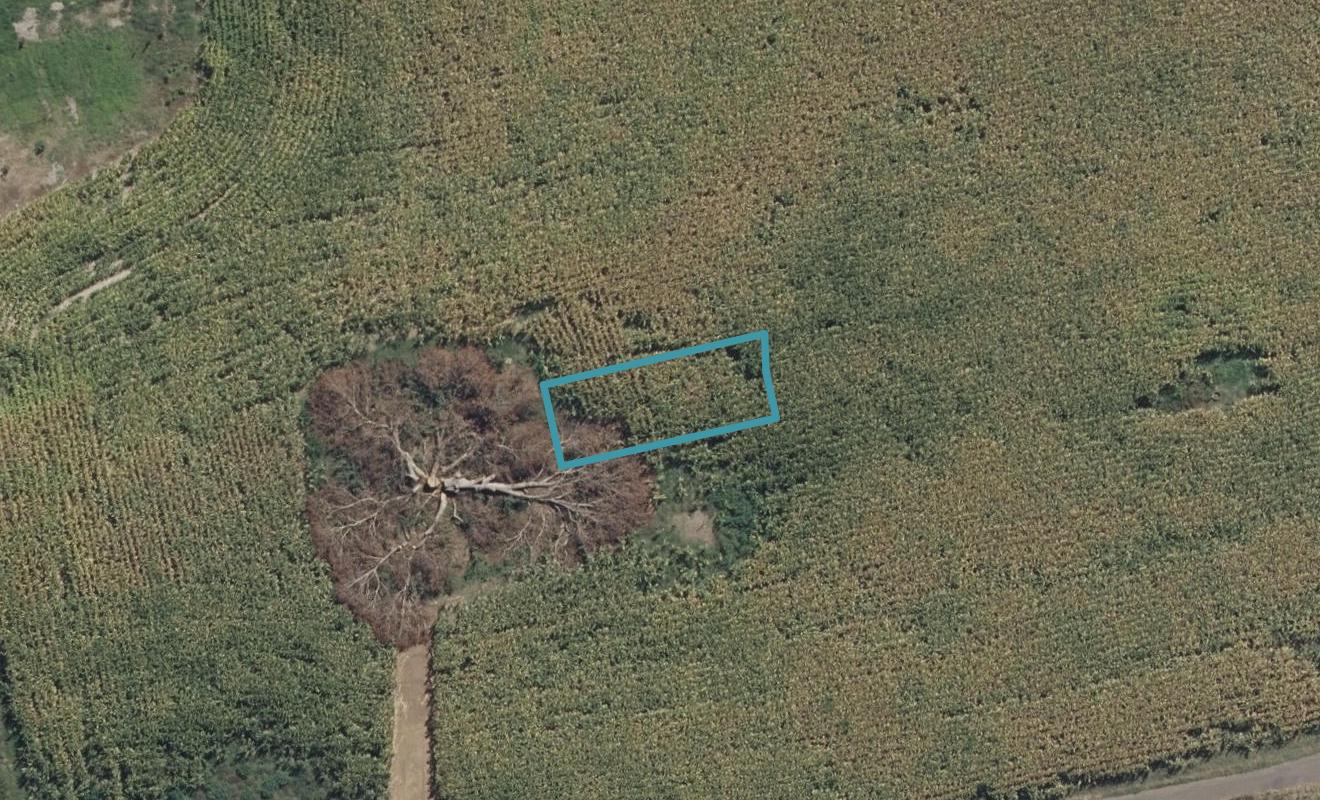 2/6 Celeste Terrace, Peacocke, Hamilton - Carousel 1