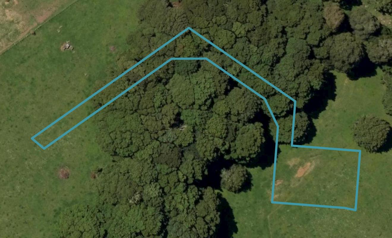 19 Okari Lane, Kamo, Whangarei - Carousel 1