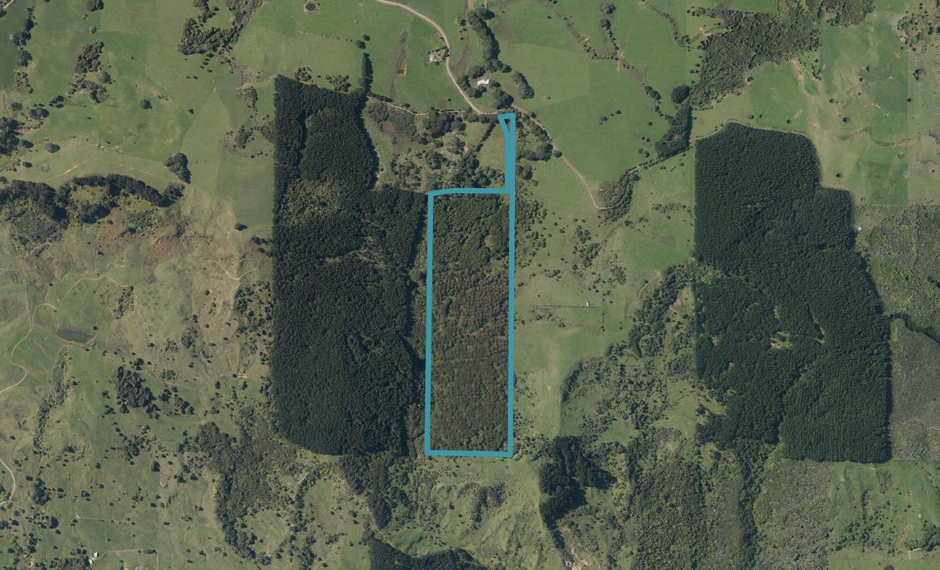 0 Pinehill Road, Waimamaku, Kaikohe - Carousel 1