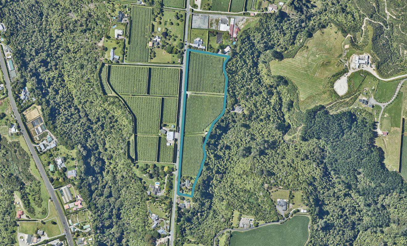 445 Joyce Road, Pyes Pa, Tauranga - Carousel 1