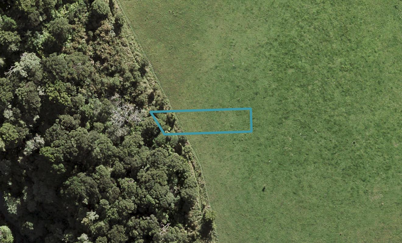 10 Te Aniwaniwa Terrace, Albany, Auckland - Carousel 1