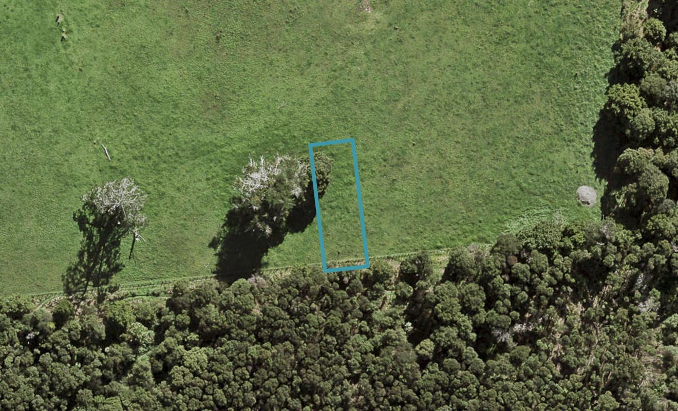 58 Te Aniwaniwa Terrace, Albany, Auckland - Carousel 1