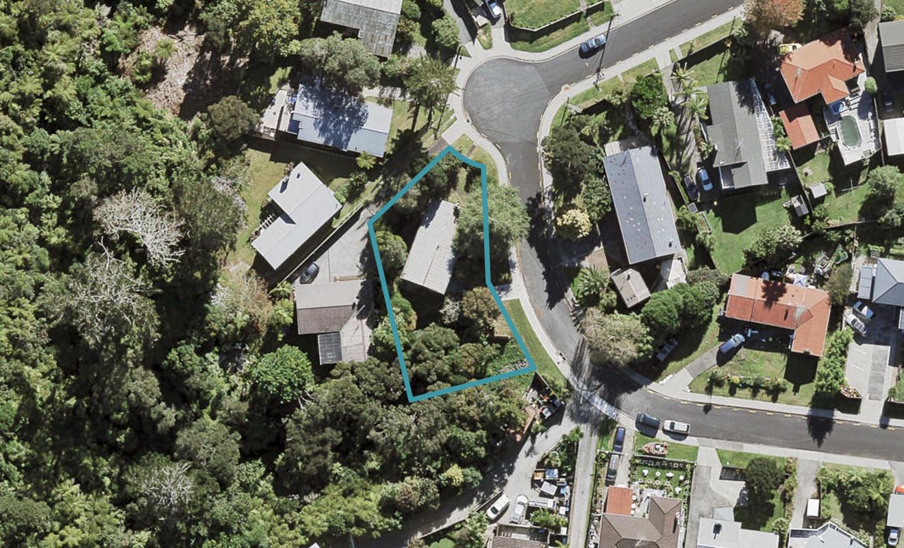 49 Saffron Street, Birkdale, Auckland - Carousel 1