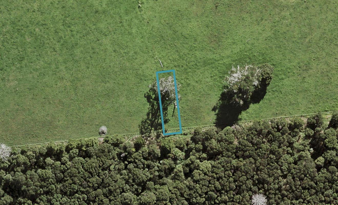 46 Te Aniwaniwa Terrace, Albany, Auckland - Carousel 1