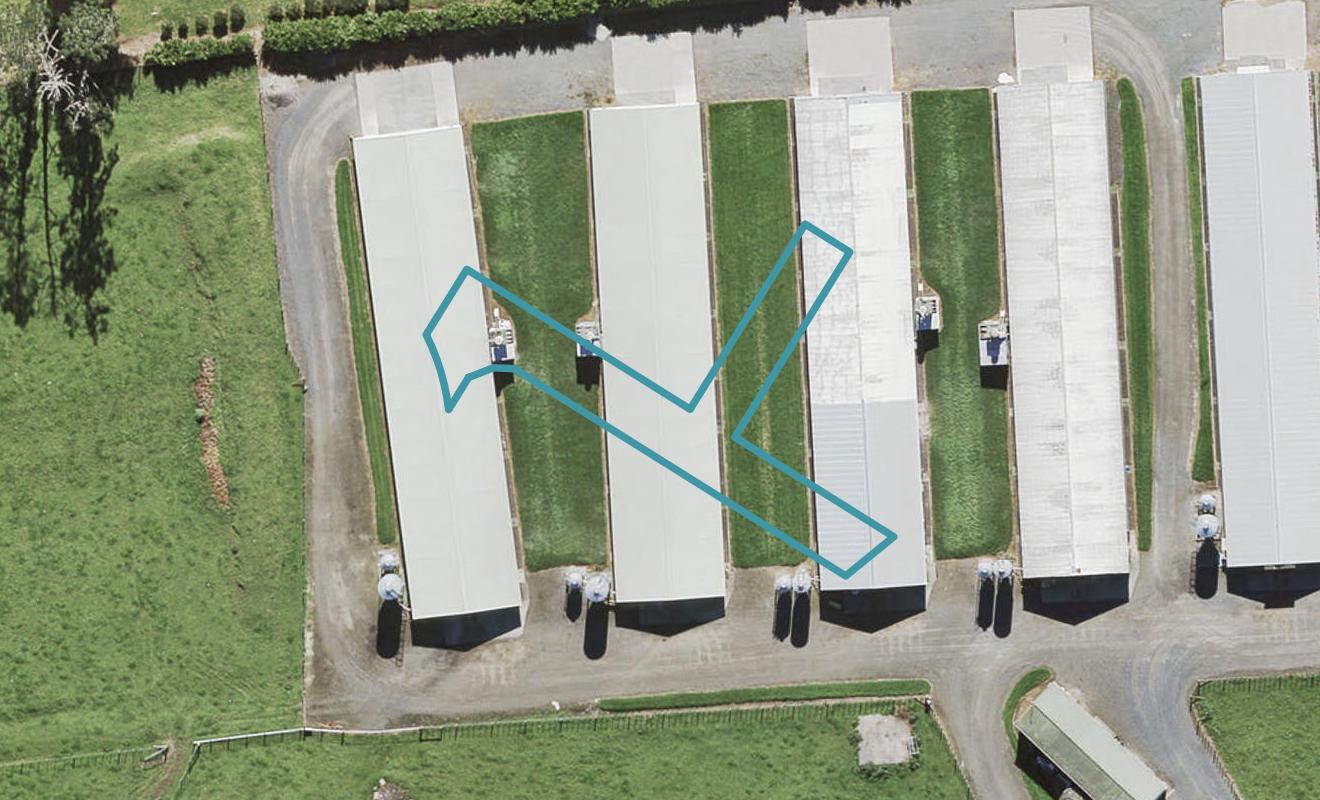 108 Hornbeam Road, Westgate, Auckland - Carousel 1