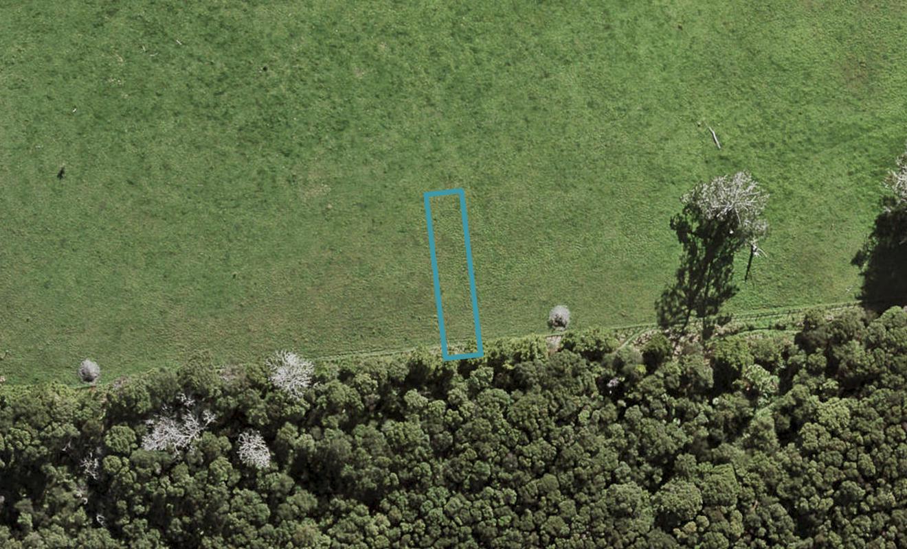 32 Te Aniwaniwa Terrace, Albany, Auckland - Carousel 1