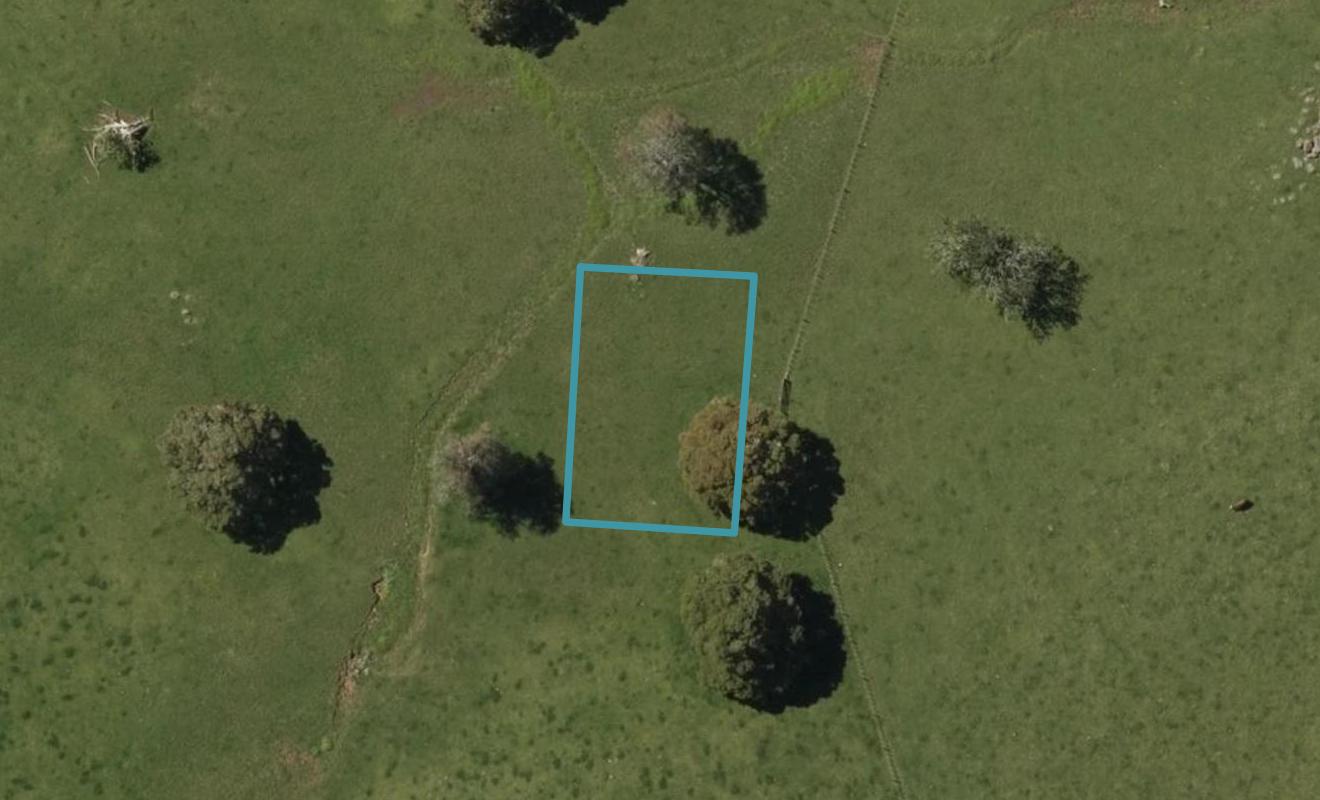 85 Wairau Drive, Tikipunga, Whangarei - Carousel 1