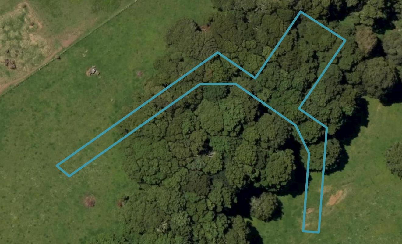 13 Okari Lane, Kamo, Whangarei - Carousel 1