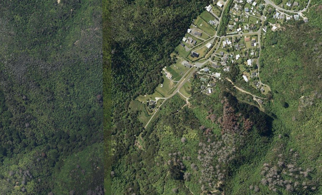 36 Manuka Drive, Ngakuta Bay - Carousel 1