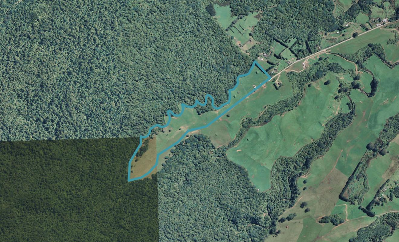 518 Lockington Road, Aongatete, Katikati - Carousel 1