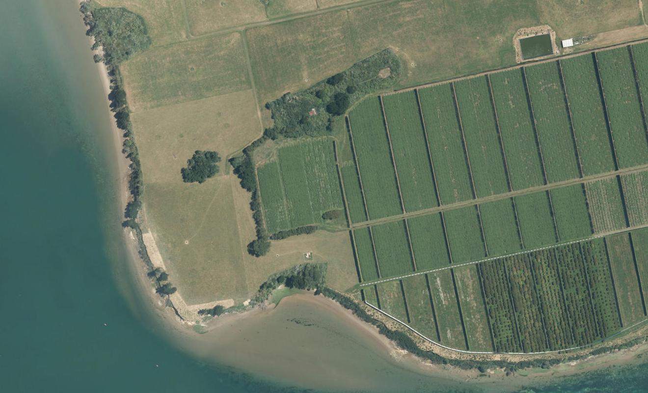 53 Rangiwaea Island, RANGIWAEA ISLAND - Carousel 1