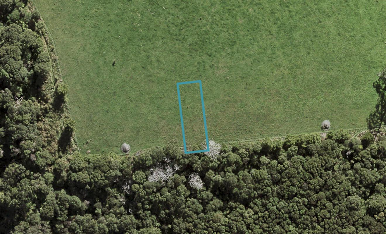 22 Te Aniwaniwa Terrace, Albany, Auckland - Carousel 1