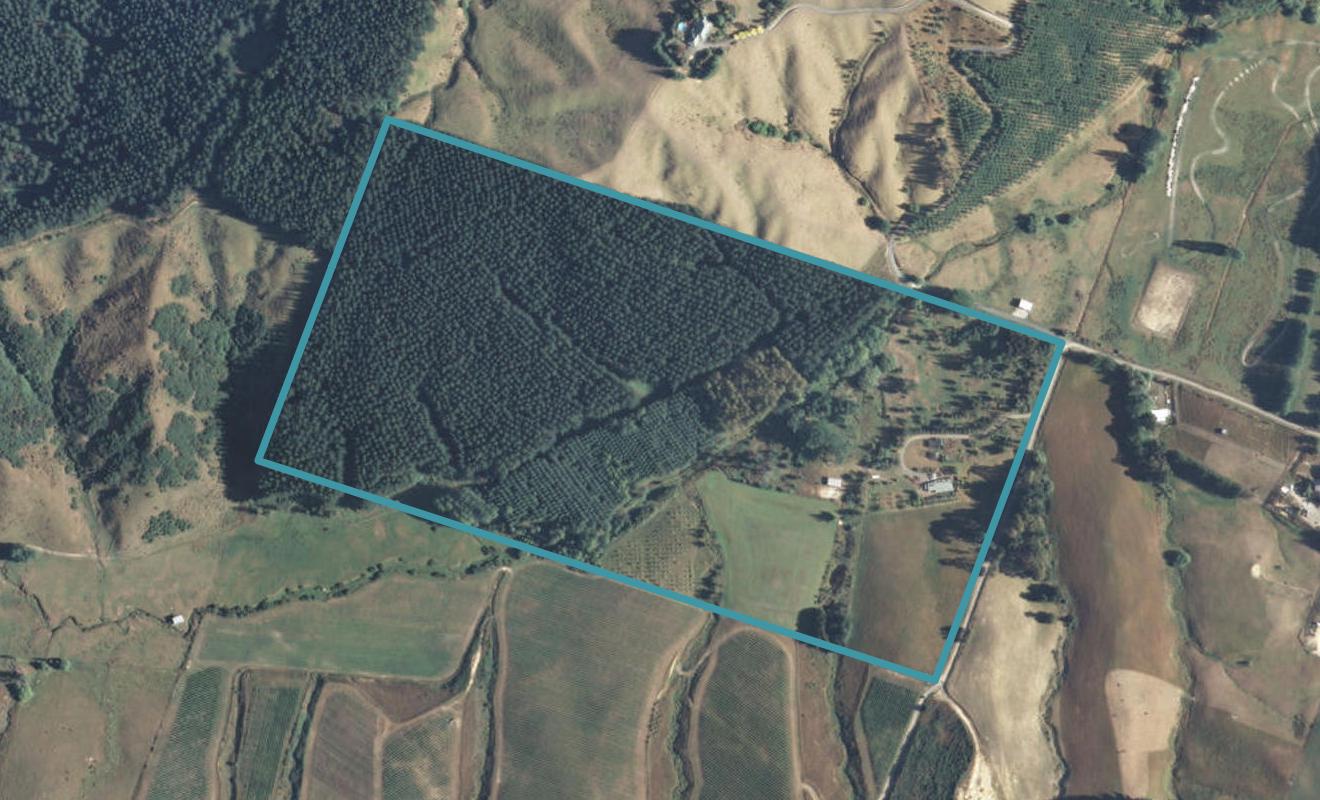 313 Old House Road, Upper Moutere - Carousel 1