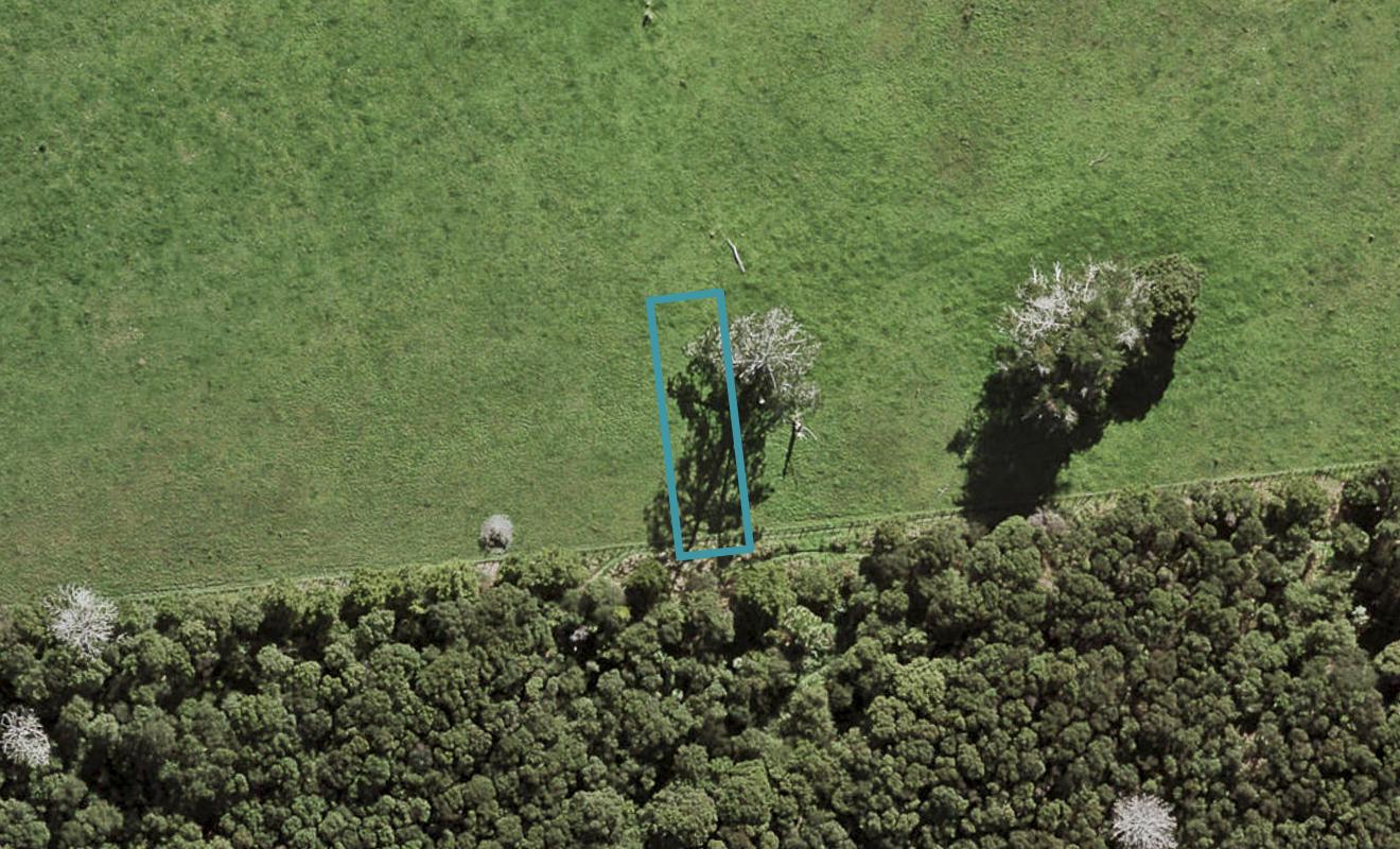 44 Te Aniwaniwa Terrace, Albany, Auckland - Carousel 1