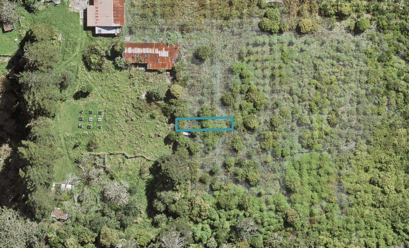 40 Yozin Road, Swanson, Auckland - Carousel 1