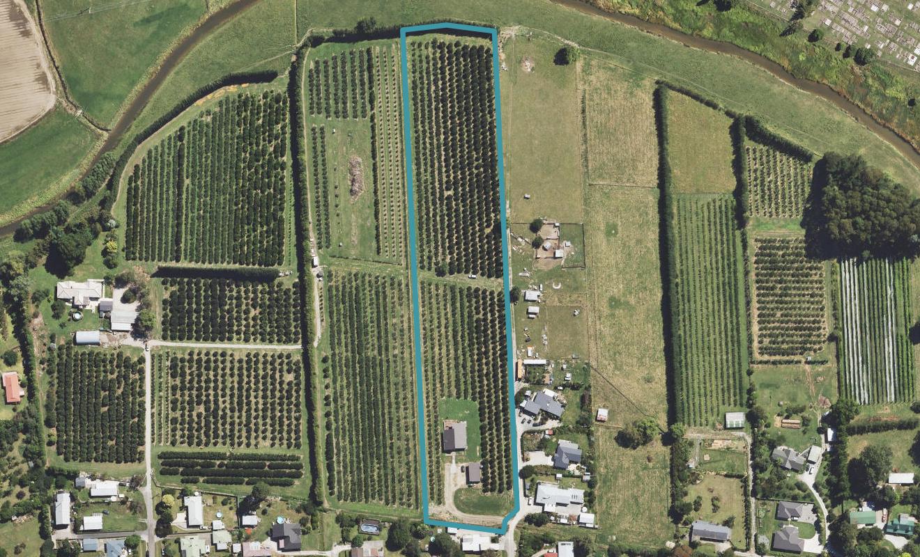 10 Ora Street, Makaraka, Gisborne - Carousel 1