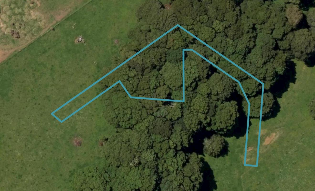 4 Okari Lane, Kamo, Whangarei - Carousel 1