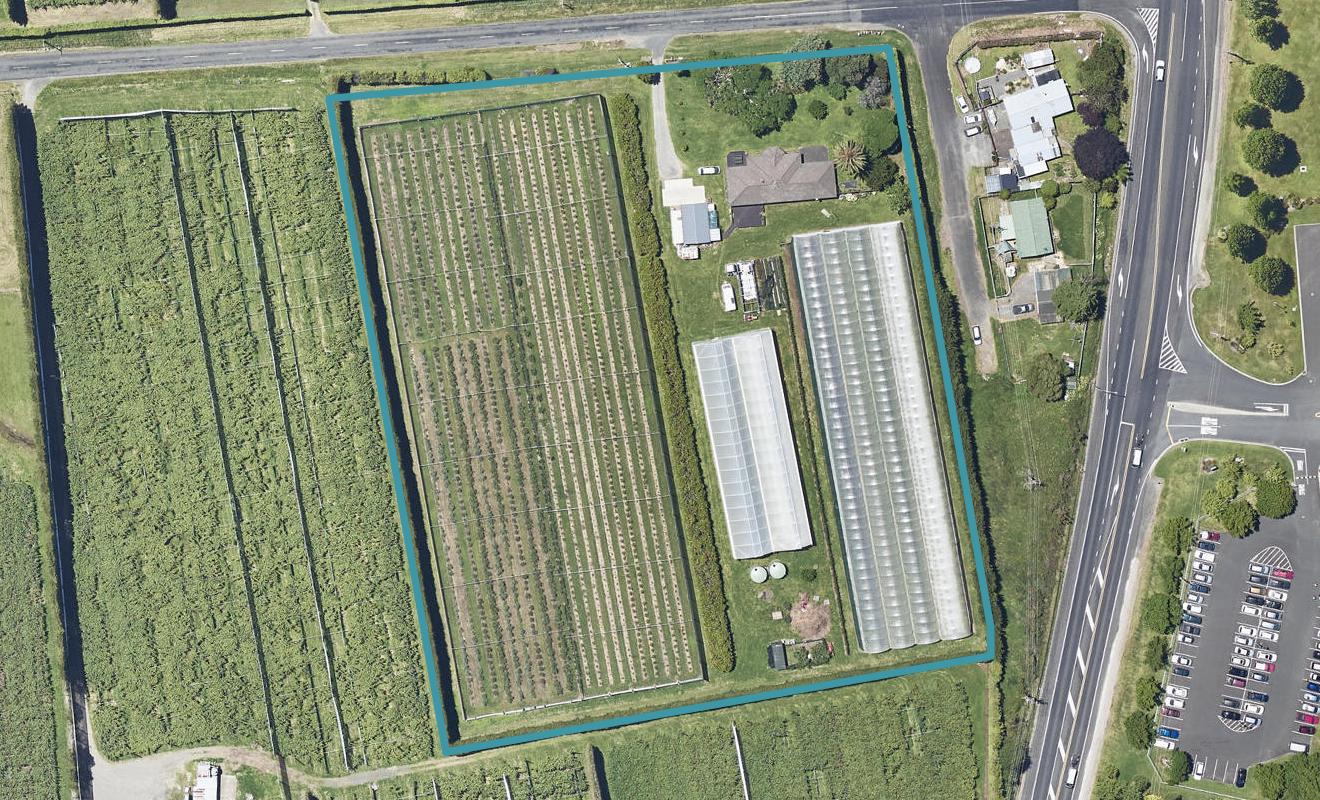 11 Hot Springs Road, Tahawai, Katikati - Carousel 1