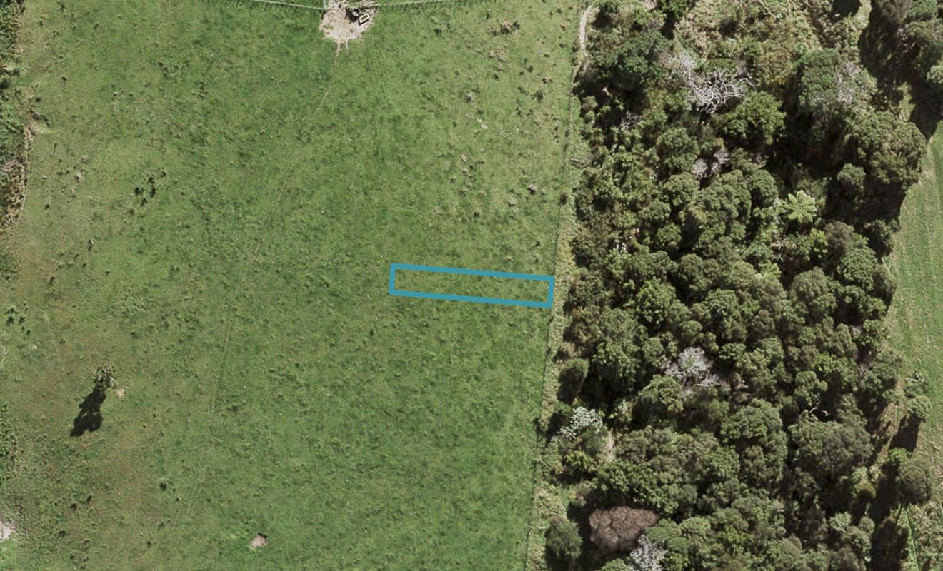 88 Te Aniwaniwa Terrace, Albany, Auckland - Carousel 1