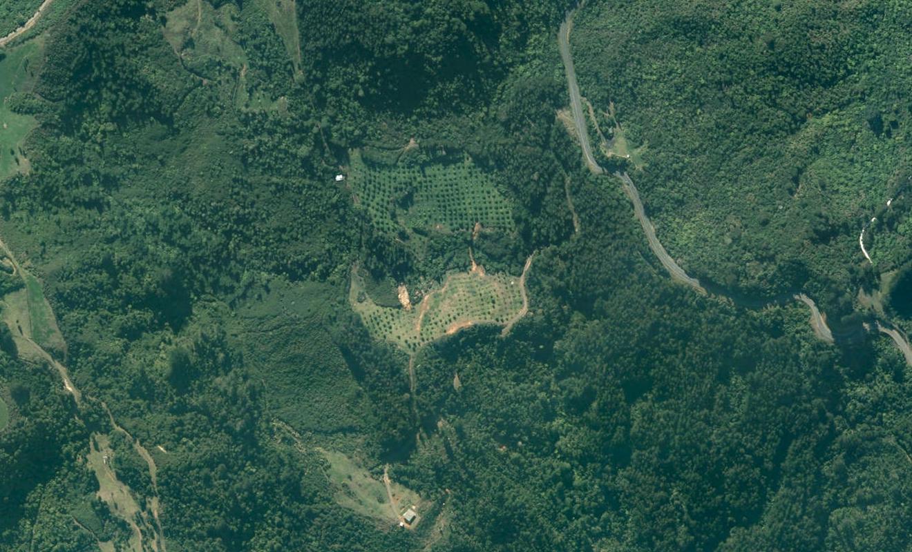 151 State Highway 25, PUMPKIN HILL, WHITIANGA - Carousel 1