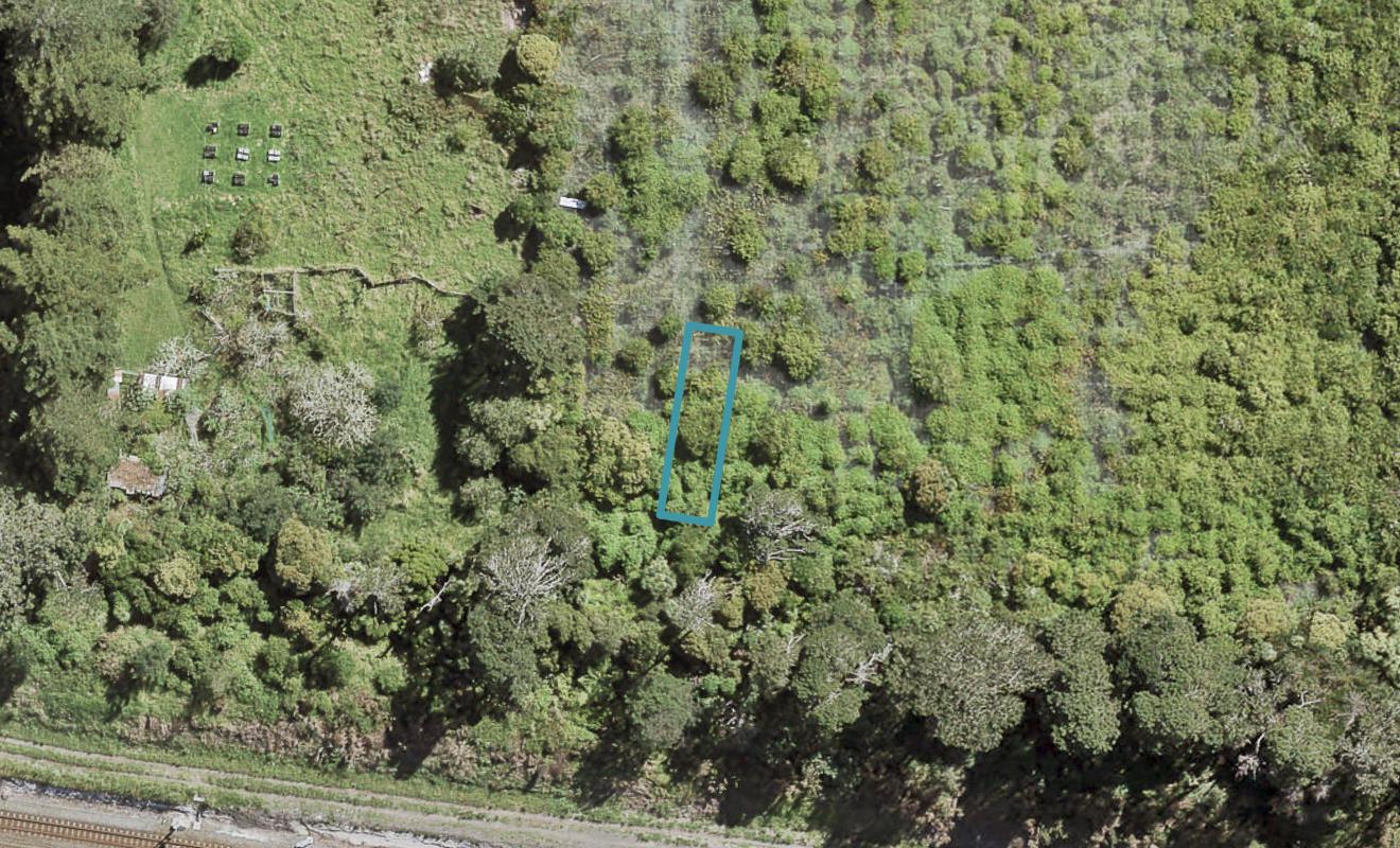 5 Te Uru Huarakau Lane, SWANSON - Carousel 1