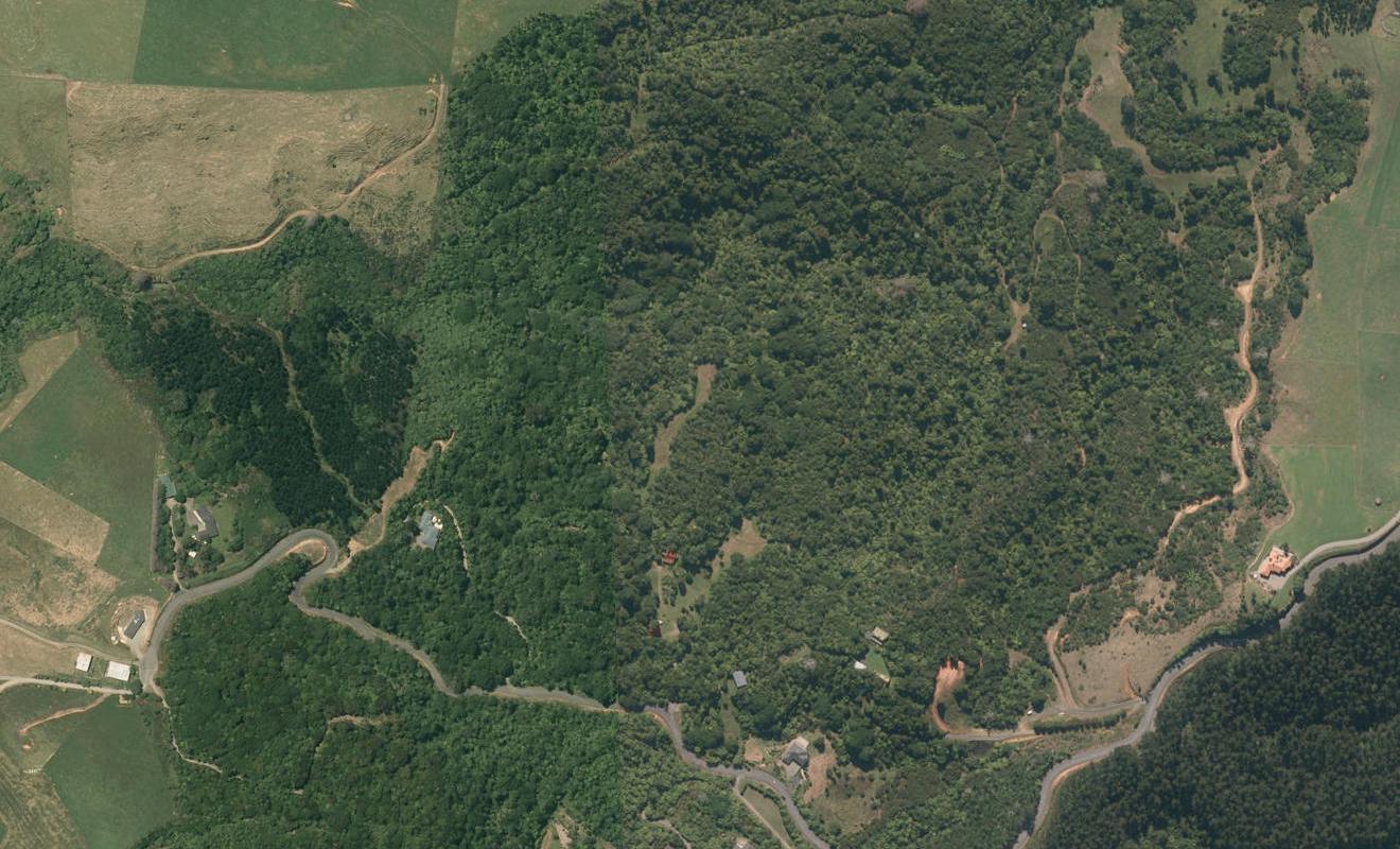 450 LUND ROAD, Aongatete, Western Bay Of Plenty - Carousel 1