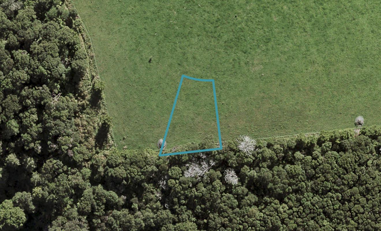 20 Te Aniwaniwa Terrace, Albany, Auckland - Carousel 1