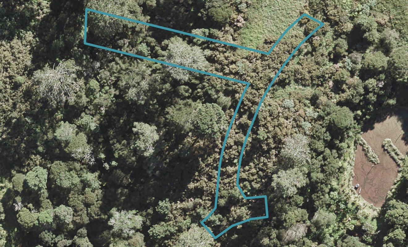 3 Pepe Lane, Fairview Heights, Auckland - Carousel 1