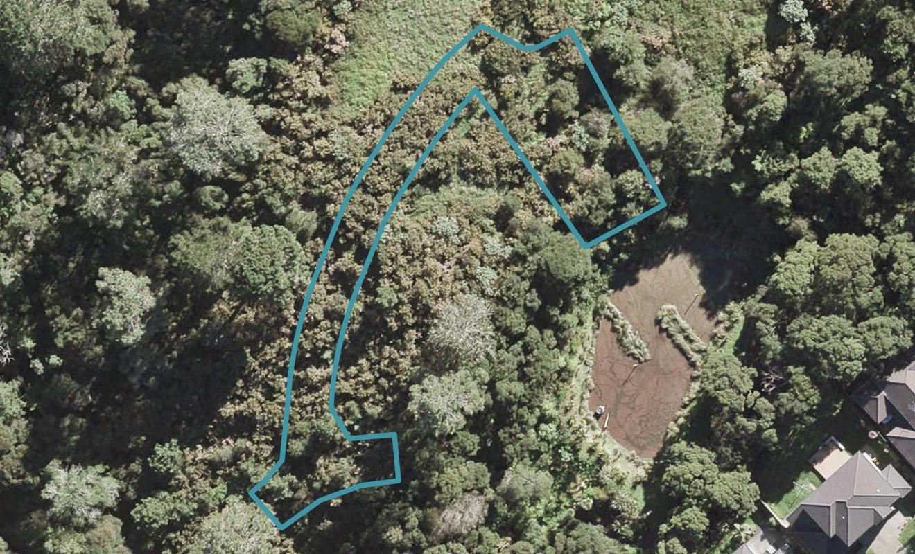 2 Pepe Lane, Fairview Heights, Auckland - Carousel 1
