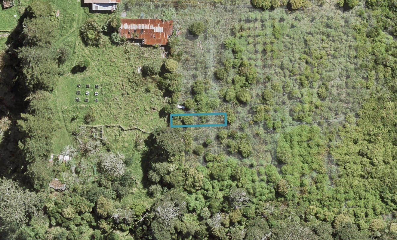 36 Yozin Road, Swanson, Auckland - Carousel 1
