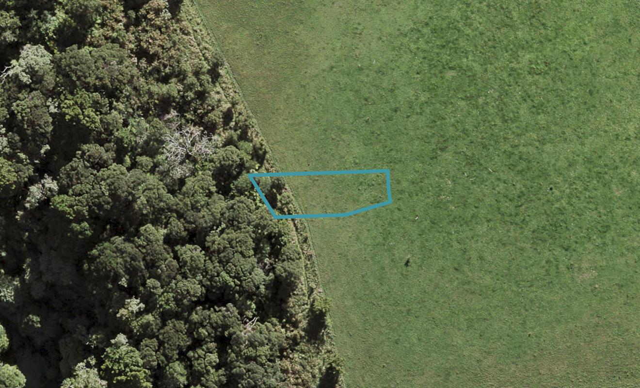 12 Te Aniwaniwa Terrace, Albany, Auckland - Carousel 1