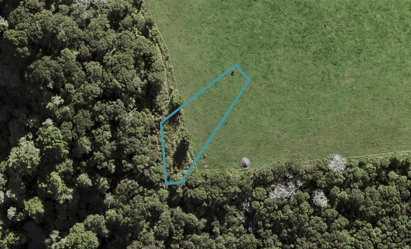 16 Te Aniwaniwa Terrace, Albany, Auckland - Carousel 1