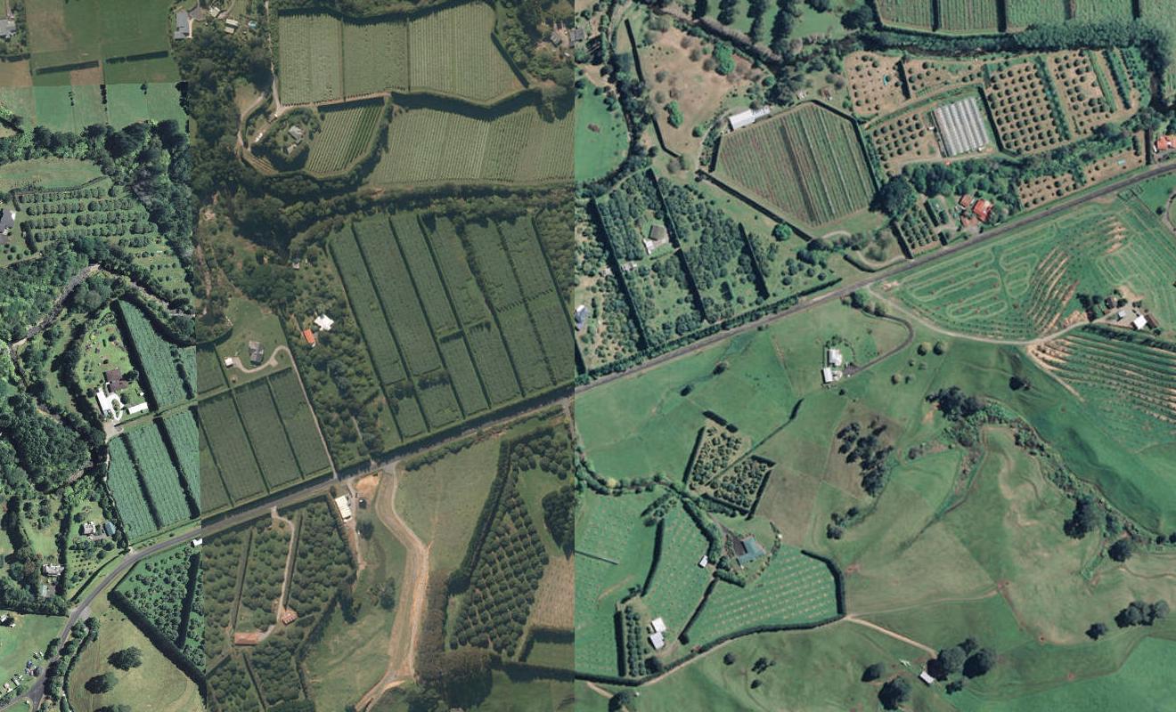 206 Hot Springs Road, Tahawai, Katikati - Carousel 1