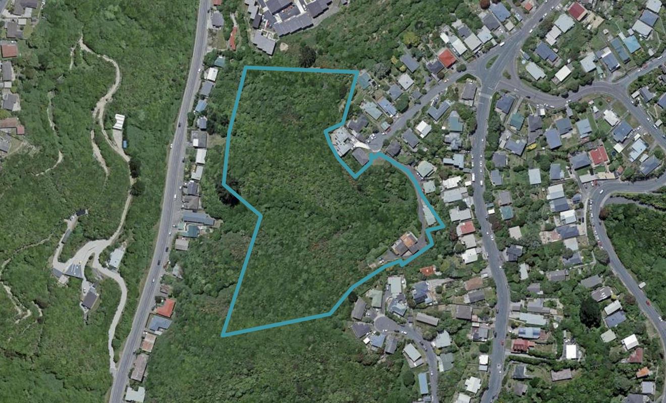 11 Wentworth Street, Mornington, Wellington - Carousel 1