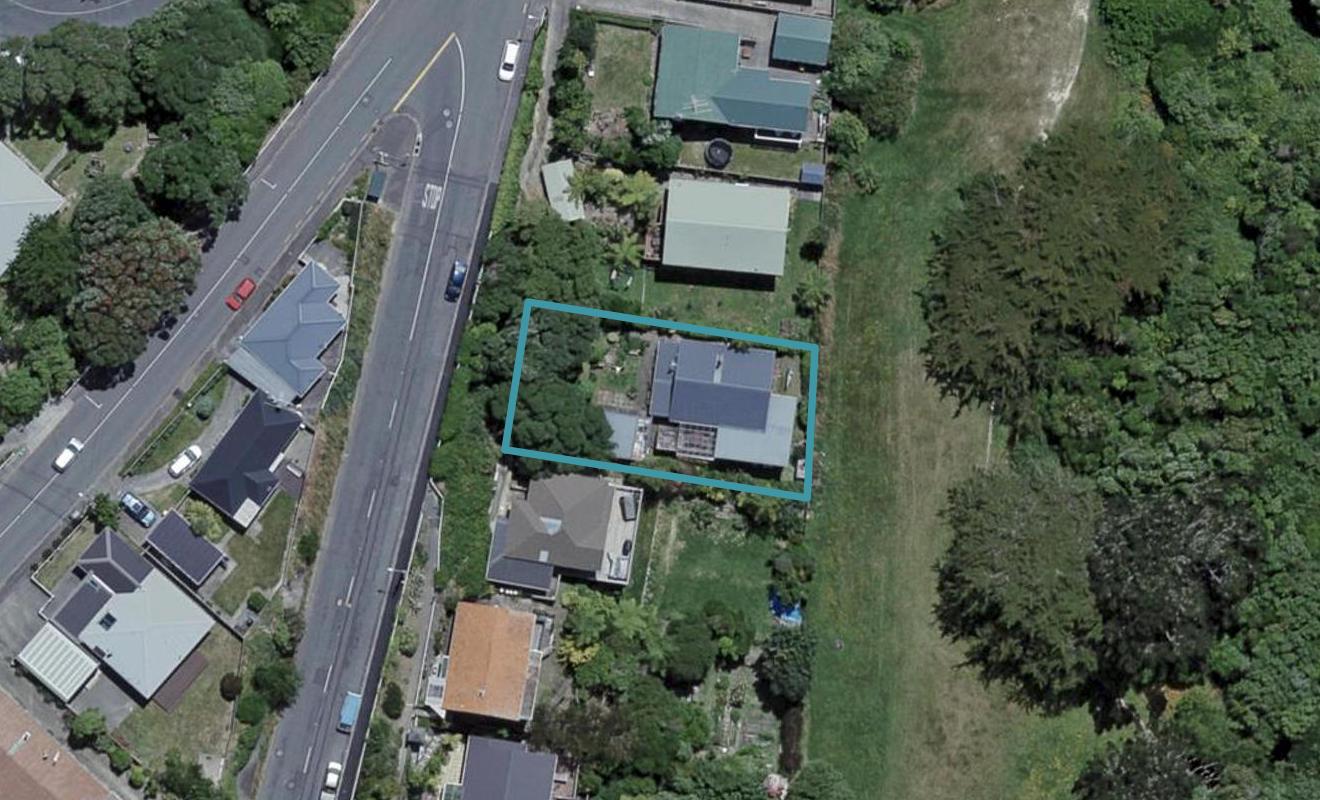 7 Priscilla Crescent, Mornington, Wellington - Carousel 1