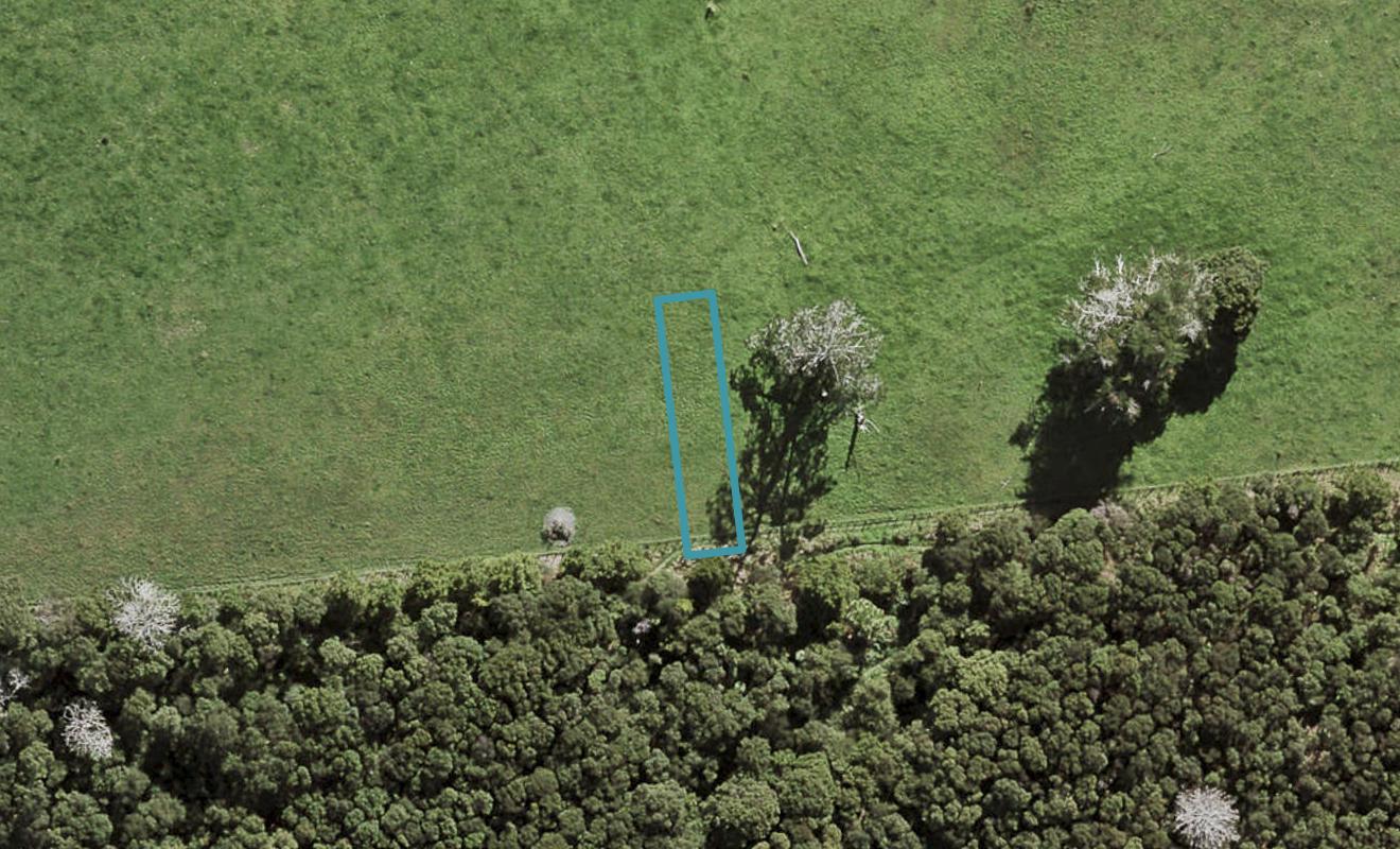 42 Te Aniwaniwa Terrace, Albany, Auckland - Carousel 1