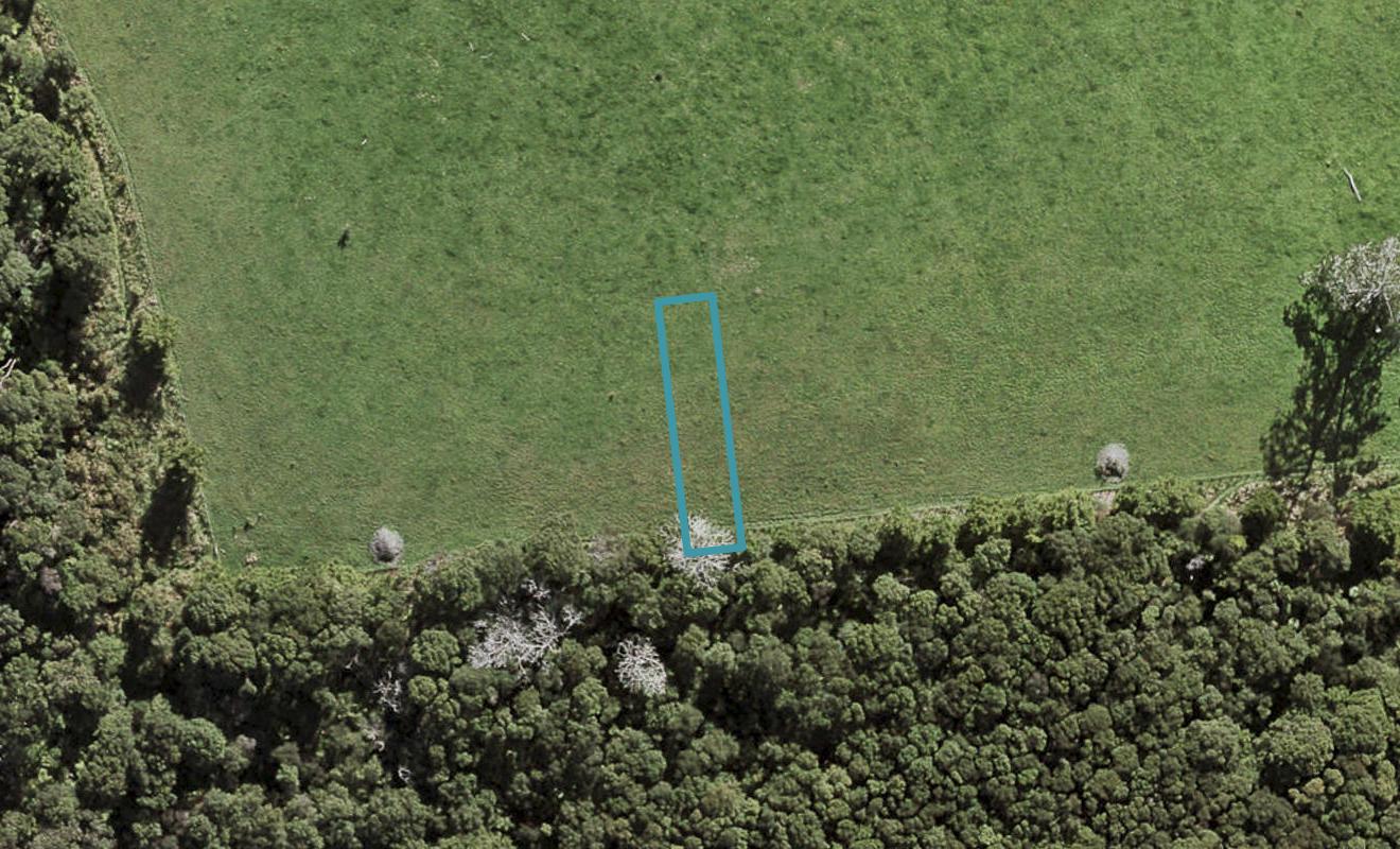 24 Te Aniwaniwa Terrace, Albany, Auckland - Carousel 1