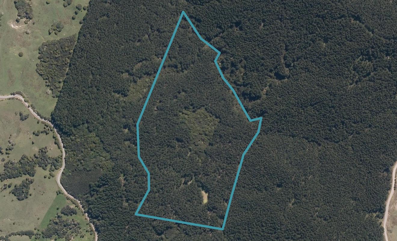 0 Hill Road, Maungaturoto, Maungaturoto - Carousel 1