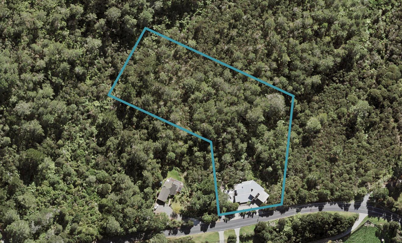 164 Elmore Road, Albany - Carousel 1
